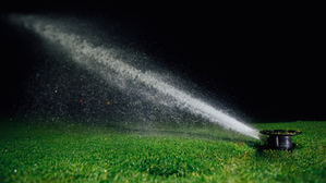 Eau et climat : Frilford Heath illustre le virage stratégique des golfs vers la résilience