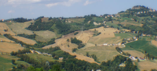 DSC02384.JPG