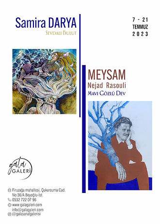Samira Darya Meysam Nejad Rasouli