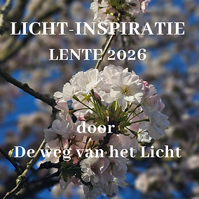 Kopie van Simple Photo Spring Quote Instagram Post (18).png