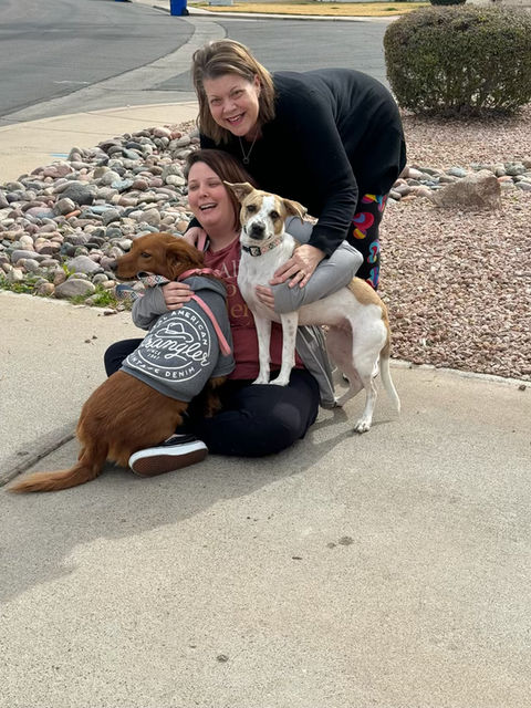 Paws Pound Animals worth saving | Mesa AZ dog rescue shelter