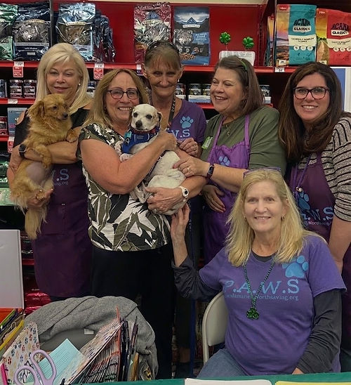 Dog Rescue Shelters Arizona | PAWS Pound Animals Worth Saving