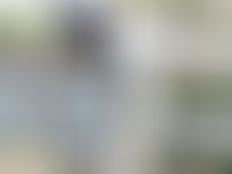 2015 Pantone Fall Color Trends