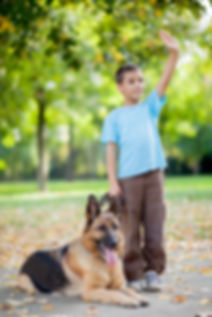 Dog Training