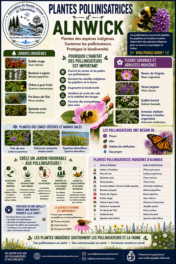 Pollinator poster (french) June 3 2026.png
