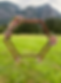 Silk Flowers on hexagon arch .png