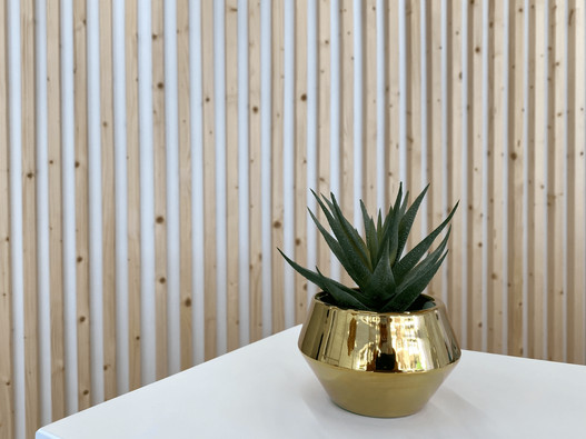Decoración natural Clínica Dental Irizar Zabala