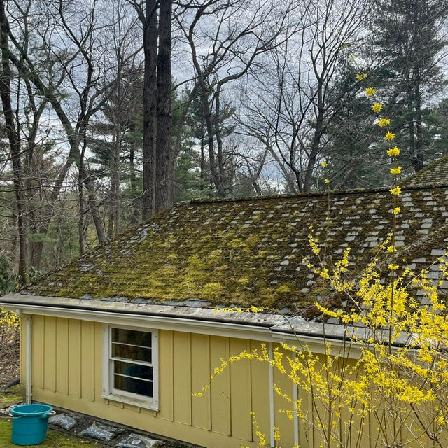 Kleankong.us cleaning exterior services