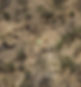 DSC05133_edited.jpg