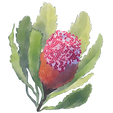 Logo Small.png