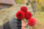 Thumbnail: Cornel