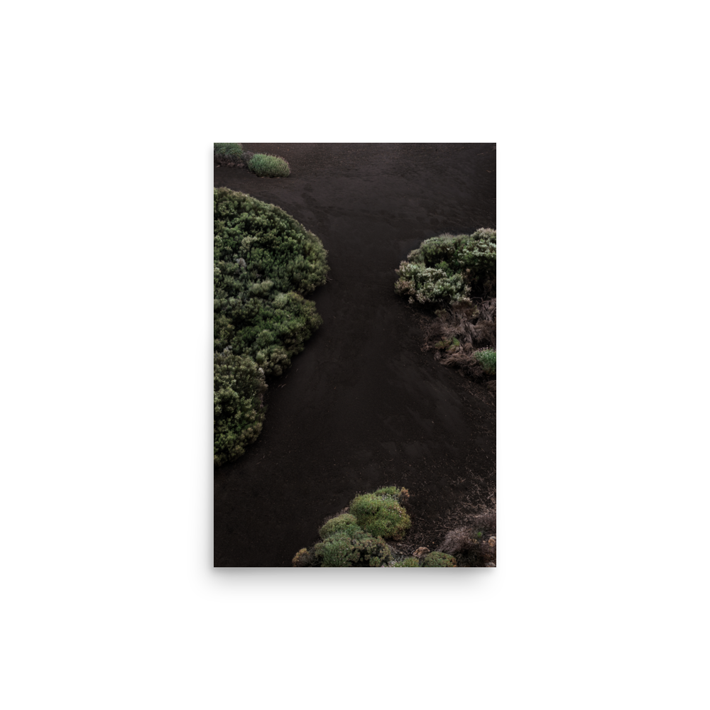 All Natural VI︱Print