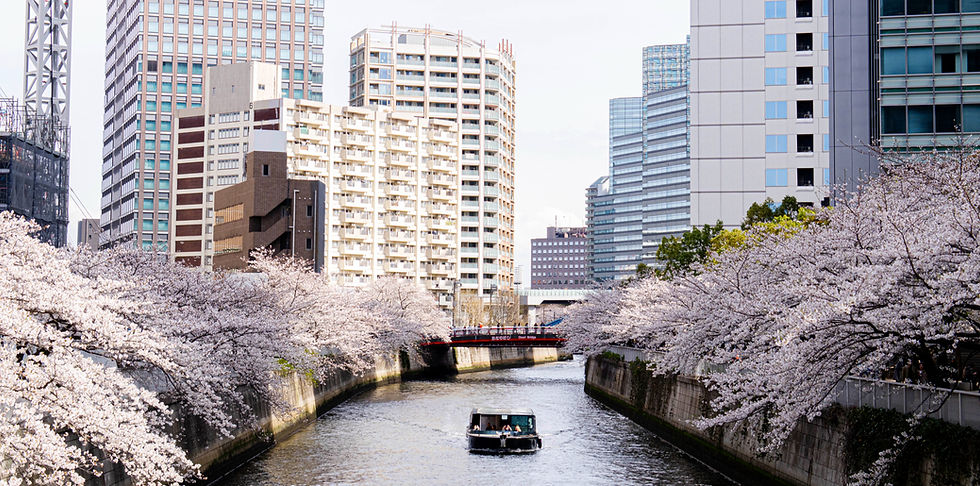 目黒川お花見クルーズ2026