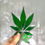 Thumbnail: Hemp Leaf - Emerald Green