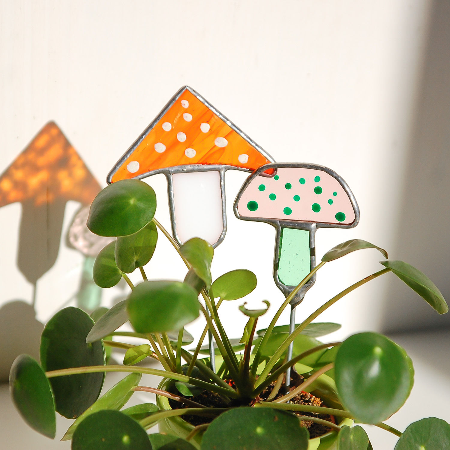 2 Mushroom Plant Friends