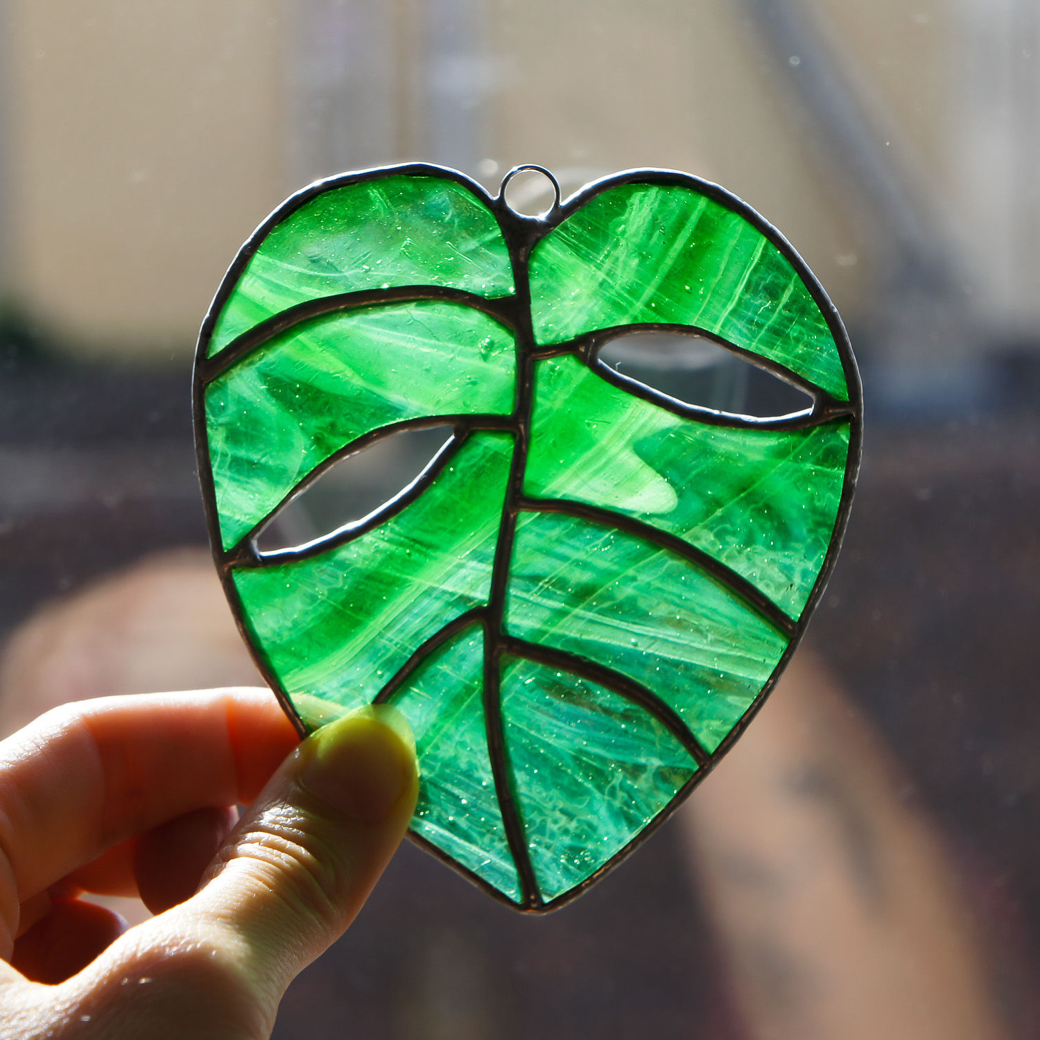 Monstera (small)