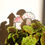 Thumbnail: 2 Mushroom Plant Friends