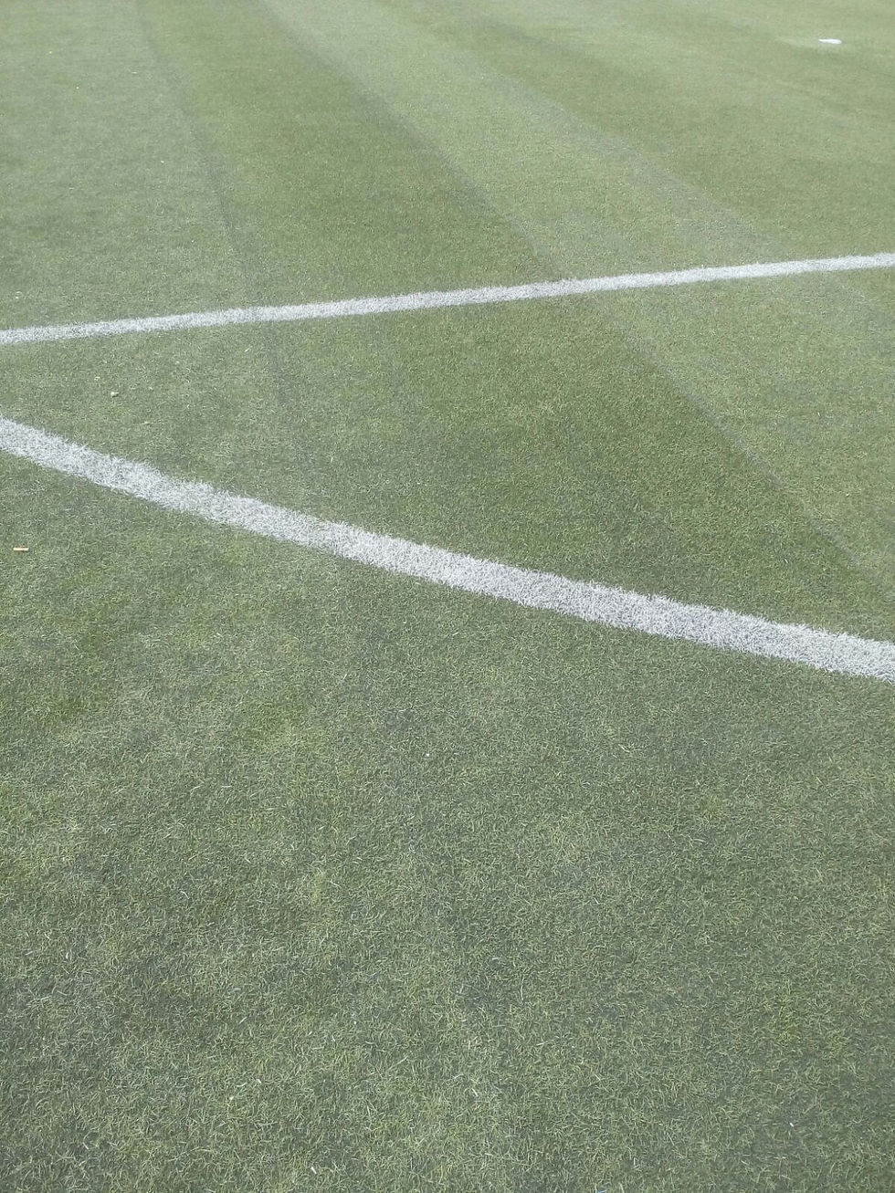 Extracción de caucho en el Campo de Fútbol de Paterna del Campo