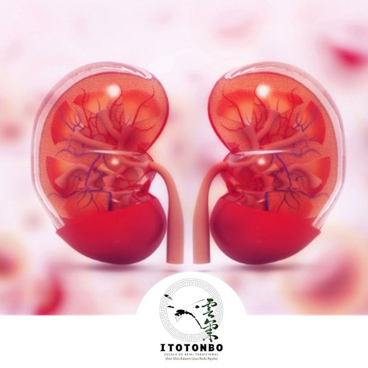 Aplicação de Reiki para os Rins