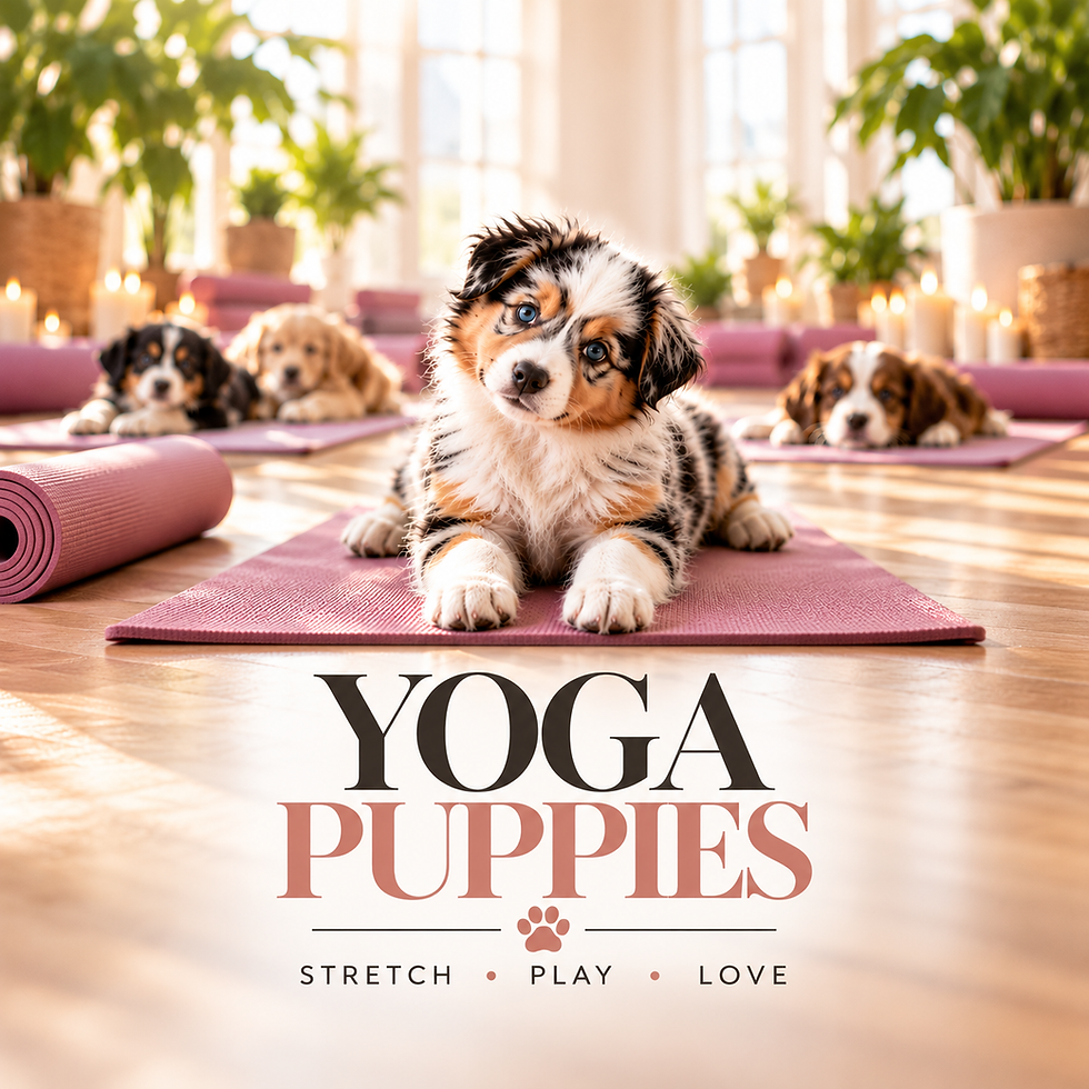 Yoga Puppies