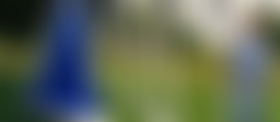 Kunst im Einklang mit der Natur: Der ARTWALK TO GO im LVR-Klinikum