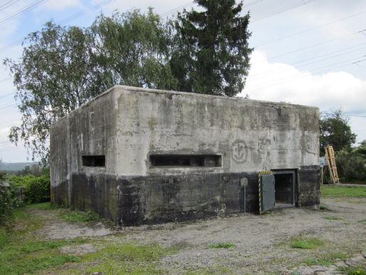 Nachtschwärmer auf dem Velberter Rottberg