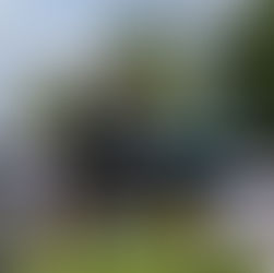 Woking 0-0 AFC Wimbledon - Card record clean sheet against League Two opposition