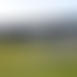 Solihull Moors 0-1 Woking – Woking enter playoffs with final three points