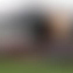 Altrincham 3-1 Woking – Altrincham shock woeful Woking