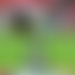 Woking 0-2 Eastleigh – Road to Wembley vanished in FA Trophy defeat