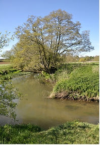 Water Pic0.jpg