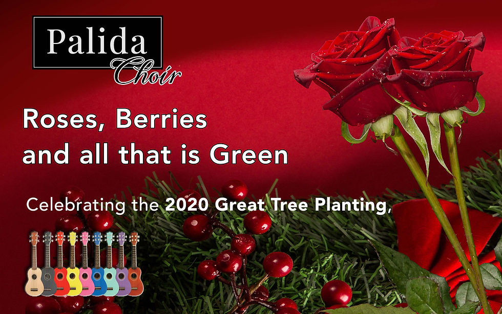 Palida Choir and the Shaftesbury Ukulele Band Christmas Songs and Winter Tree Poetry