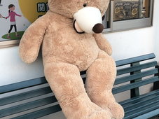 明日から営業&1月のキャンペーン