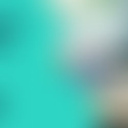 Could you, or someone you love, benefit from this FREE Living With Dementia Program?