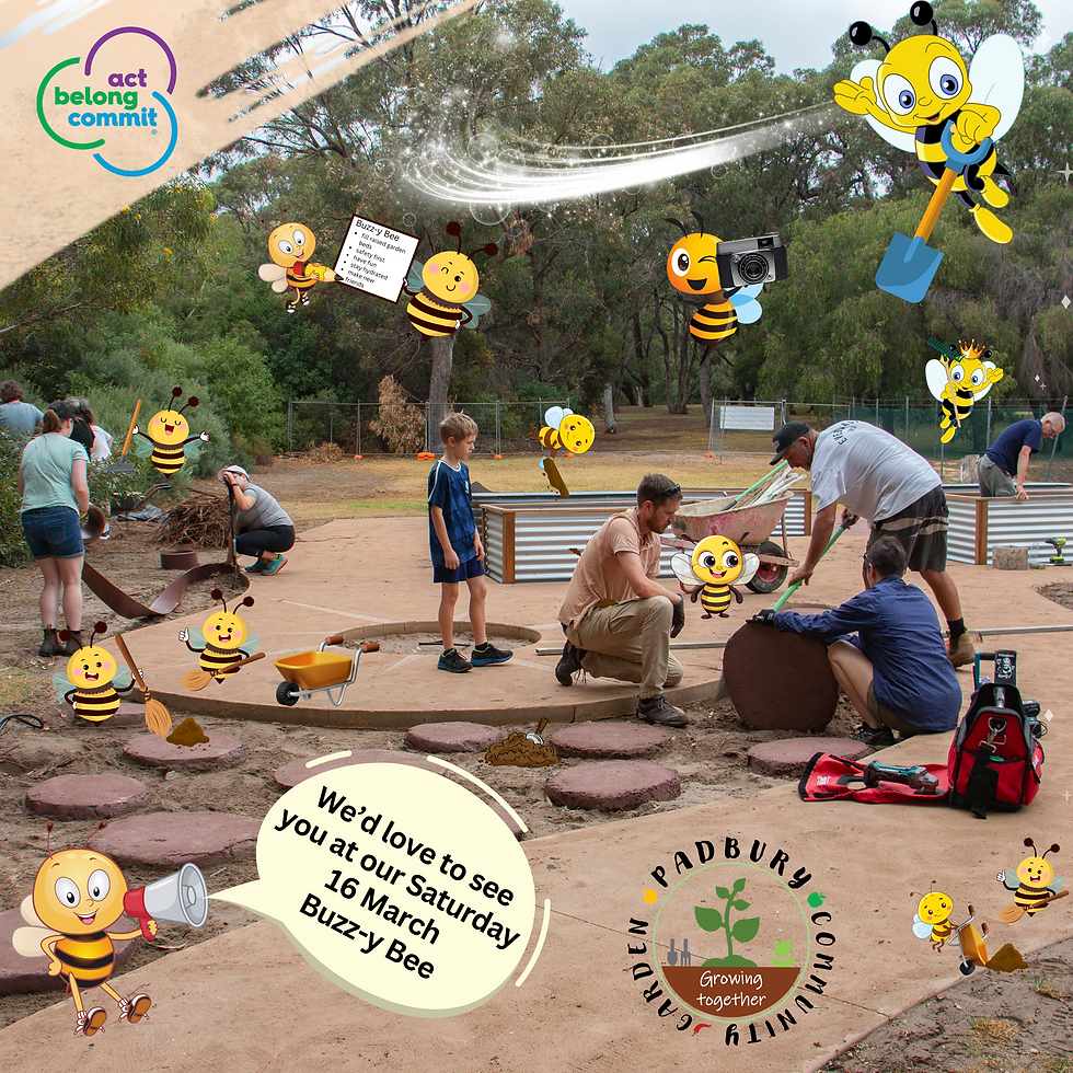 Padbury Community Garden - Buzz-y Bee