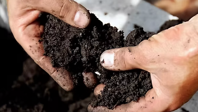 Natural systems are underpinned by soils, and nature and soils are mutually inter-dependent. This balance has been disrupted by our uses for land in climatically vulnerable regions...