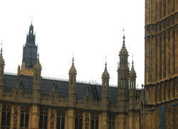 L16.jpg
