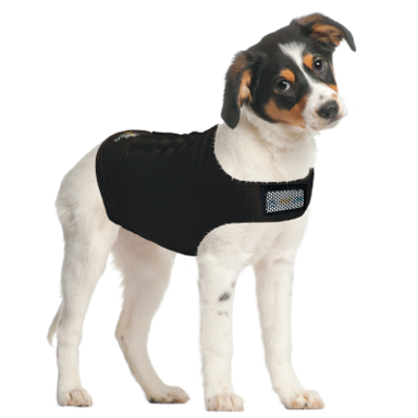 ZenDog Compression Shirt for Dogs – Calming, Recovery & Shed Control