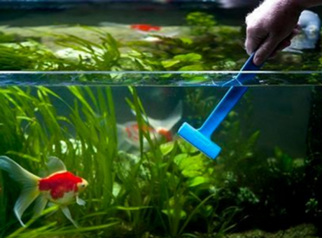 aquarium-cleaning-and-maintenance-service-500x500.png