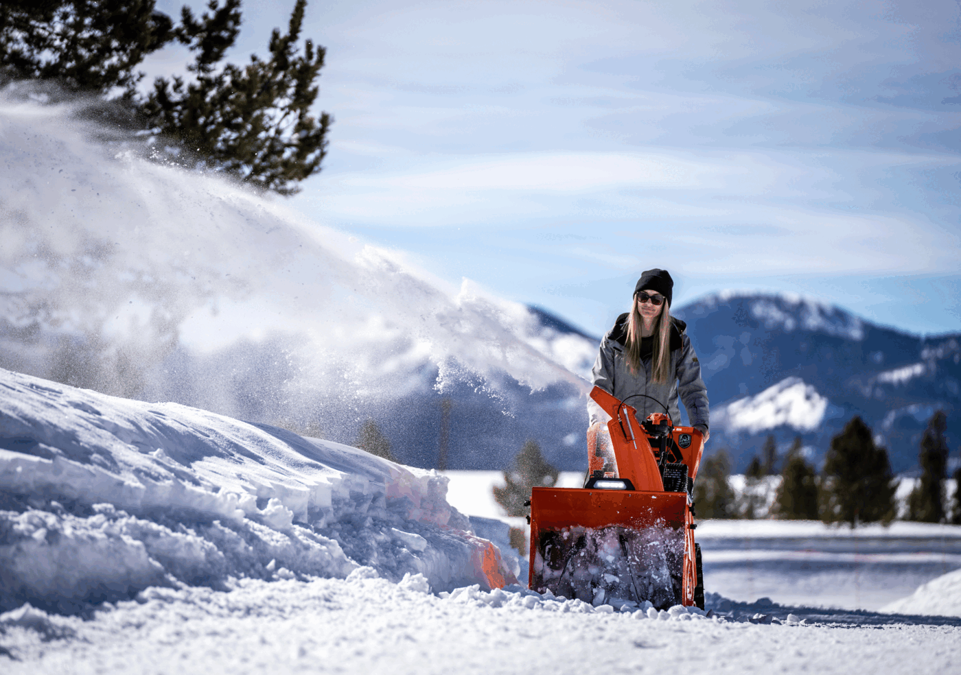 926345-Ariens-Alpine-DSC07179-sRGB.gif