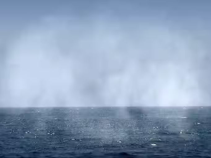 L'eau s'évapore.