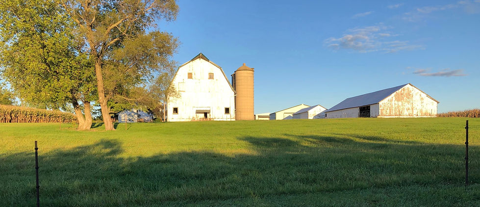 1C3CDF19-DF93-4713-8BBB-8DFF9E93B2DE_1_2