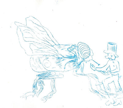 Fliege Wichtel.jpeg