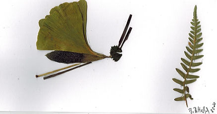 Blättrbild 2 (2).jpeg