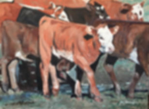 "PENNED CALVES AT WEANING TIME"