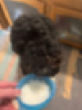 puppy eating rice