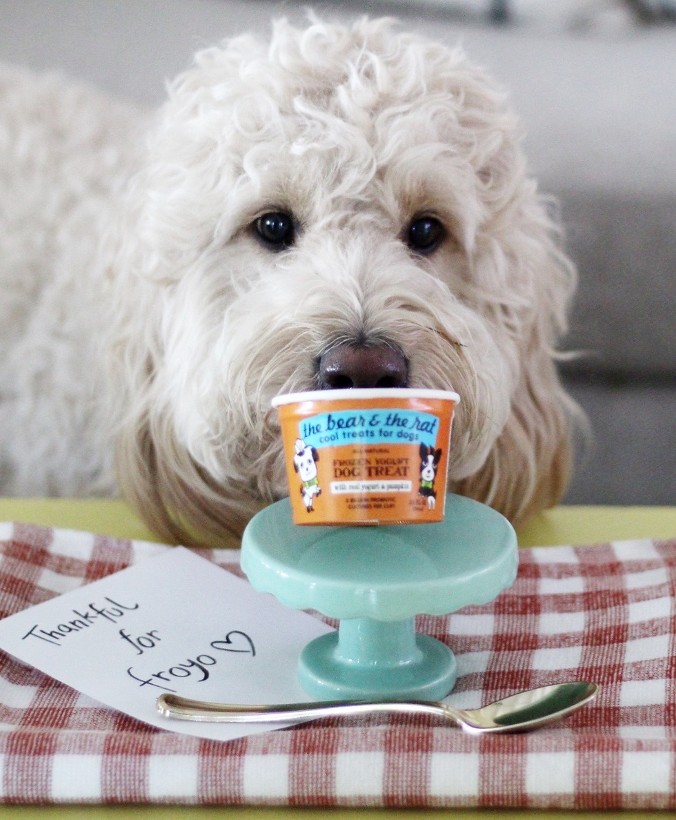 it is good to feed your dog pumpkin