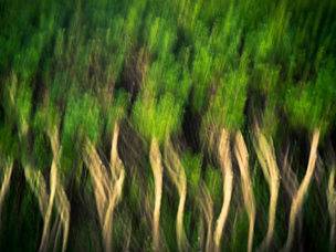 The Second Touch Pericope