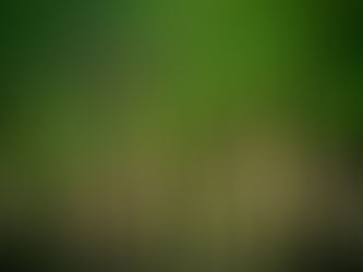 The Second Touch Pericope