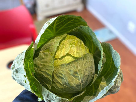 Growing Health from the Ground Up: Our Klapmuts Community Veggie Garden